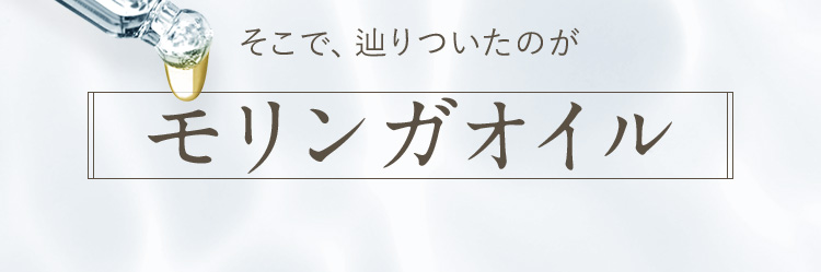 そこで、辿りついたのがモリンガオイル