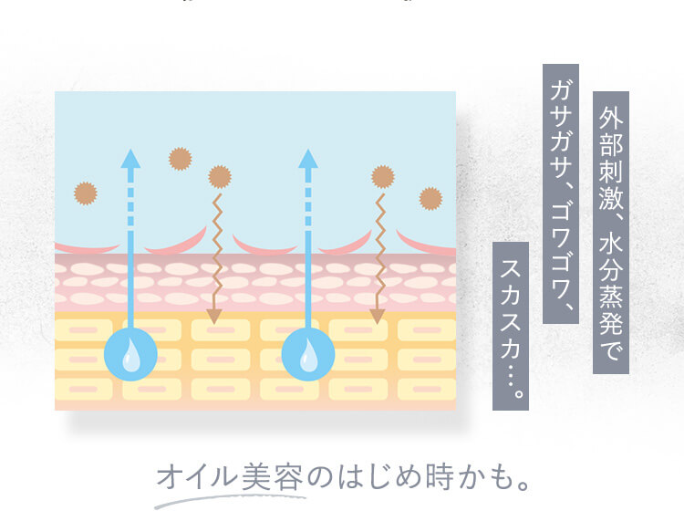 外部刺激、水分蒸発でガサガサ、ゴワゴワ、スカスカ・・・。