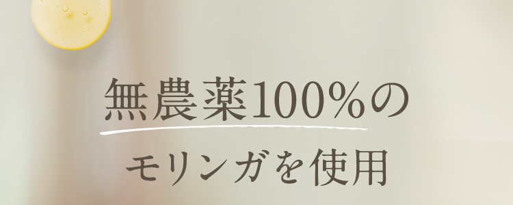 無農薬100％のモリンガを使用